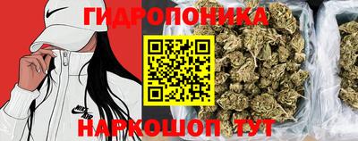 спиды Новозыбков