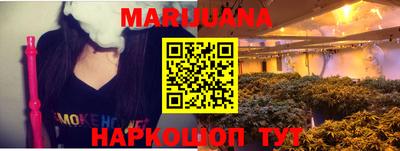 спиды Новозыбков