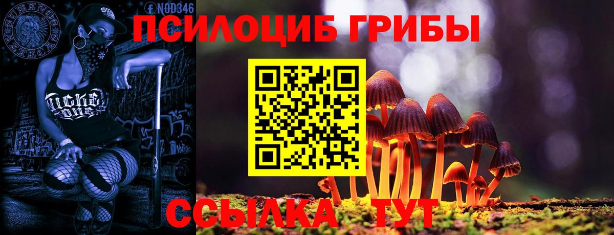 Волгоград  Галлюциногенные грибы прущие грибы  где найти наркотики  Вход с VPN 