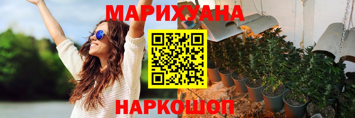 Каннабис индика Волгоград